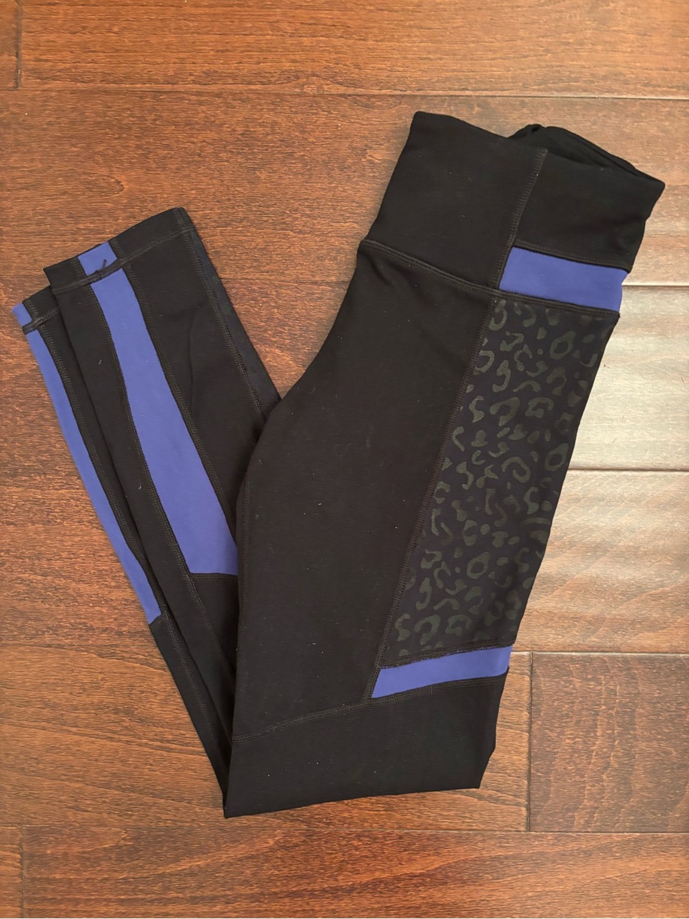 Betsey Johnson Black Leggings with blue Accent Panels